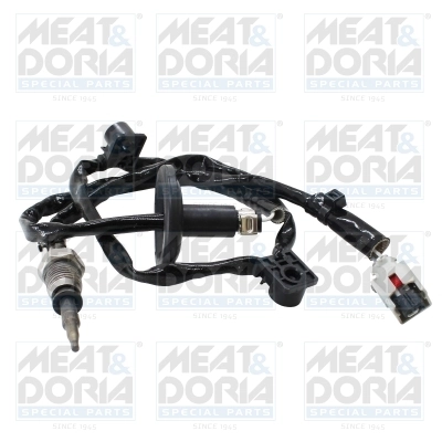 Sensor, exhaust gas temperature
